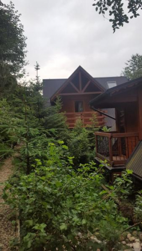 domek pod lasem